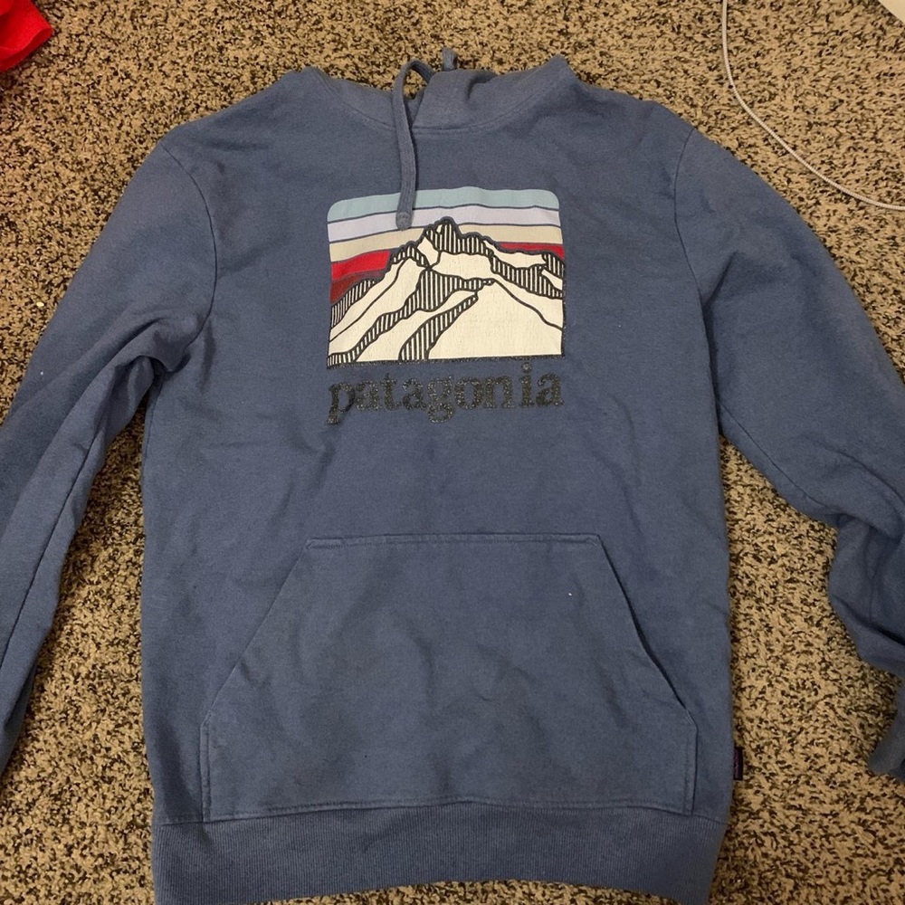 Patagonia hoodie! Men’s small